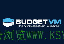 BudgetVM新增10-100Gbps带宽服务器,新年特惠99美元/月起(1800Gbps防御)插图1
